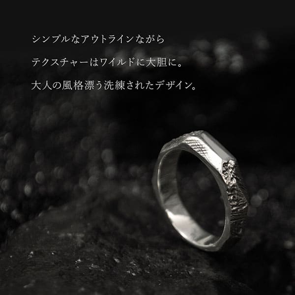 DUSTCELL　シルバーリング　ロゴピアス 　セット(初回盤) シルバーリング】【ドラゴン リング】【シルバーアクセサリー